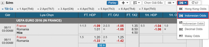 Indo Odds